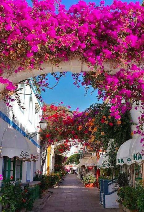 Alma Home Las Palmas de Gran Canaria Dış mekan fotoğraf